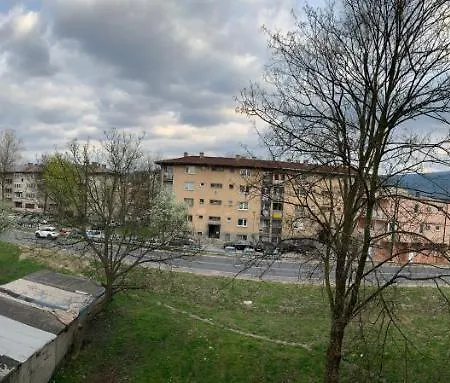 Lavanda * Sarajevo